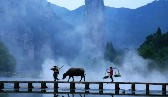 掌上缙云2025官方正版 掌上缙云2025官方正版