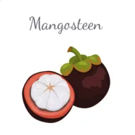 ɽ2025°汾v3.4.1 ׿