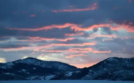 AA影视(免费影视资源) AA影视(免费影视资源)