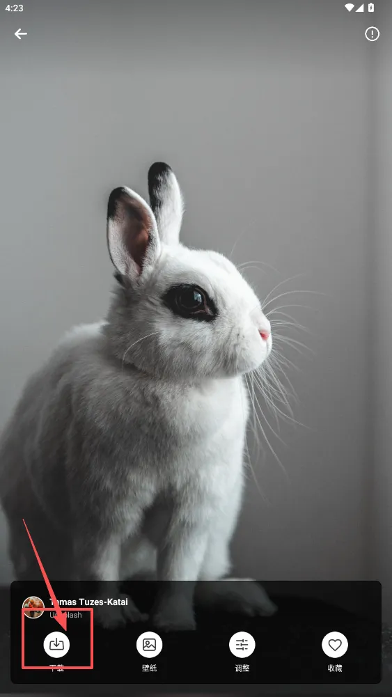 美妙壁纸馆最新手机版 美妙壁纸馆最新手机版