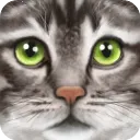 ռè2025°汾v1.1 ٷ