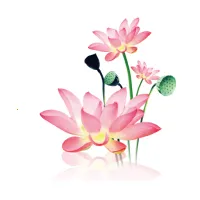 ˮī2025°汾v1.2.0 ֻ