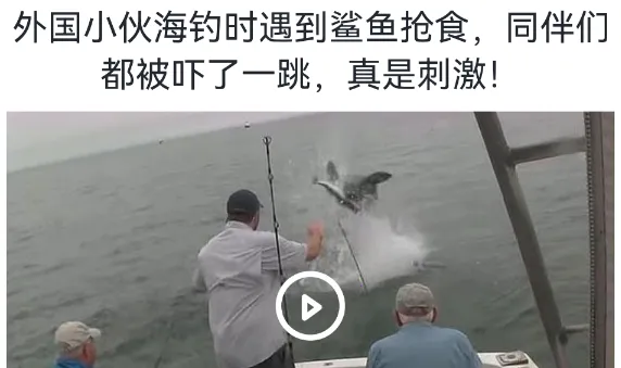 钓鱼宝典2025官方正版