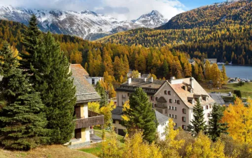 元气键盘皮肤最新手机版 元气键盘皮肤最新手机版