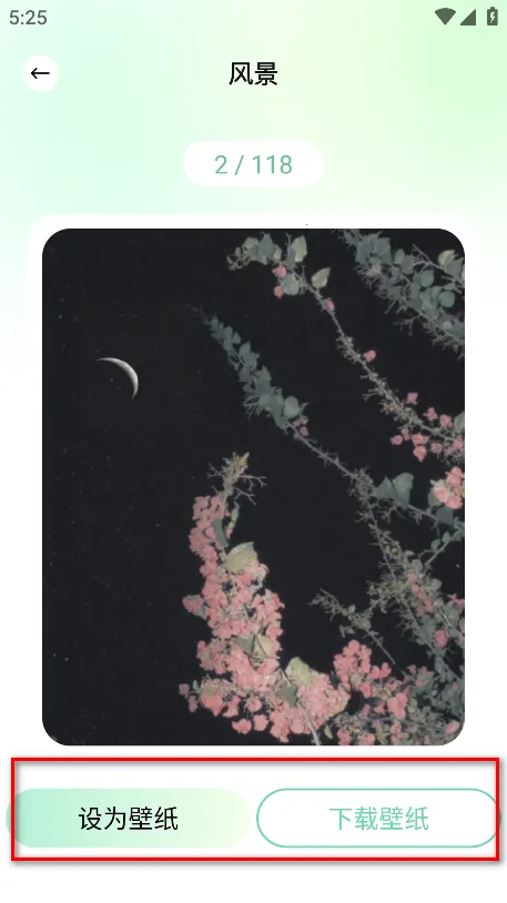 荷花壁纸2025官方最新版本