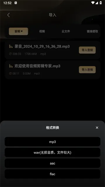 金牌录音安卓版手机版
