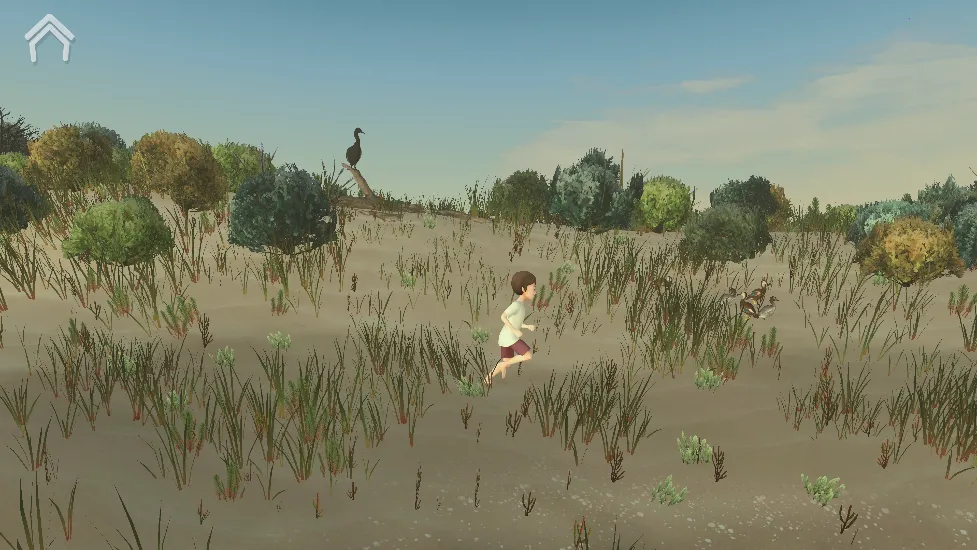 男孩与鹈鹕2025官方正版 男孩与鹈鹕2025官方正版