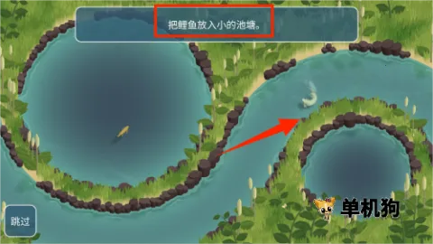 锦鲤农场 第2张图