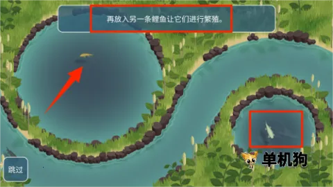 锦鲤农场 第3张图