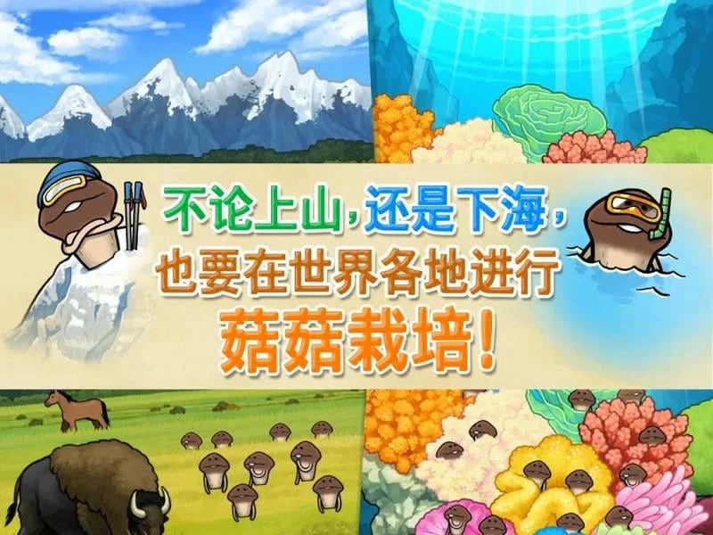 菇菇栽培研究室安卓版手机版