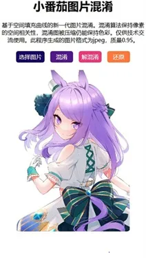 小番茄解码工具2025官方最新版本 小番茄解码工具2025官方最新版本