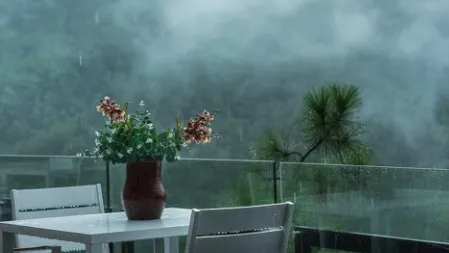 ����ʵʱԤ��������׿���ֻ���