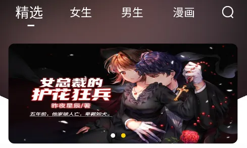 ҹèС˵(С˵�Ķ�ƽ̨)