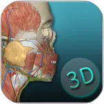 �������ѧͼ�� v(����ѧѧϰ����)v2025.11.28 �ٷ�����