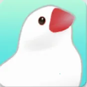 ��������2025�ٷ�����v1.1.1 �ֻ���