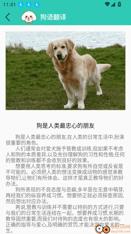 ���﷭��(�˹���������)