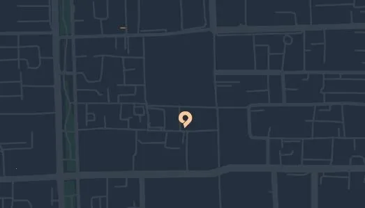 �ڶ�(���������罻)