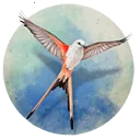 չ�᰿��(������Կ�����Ϸ)v1.5.546 �ٷ�����