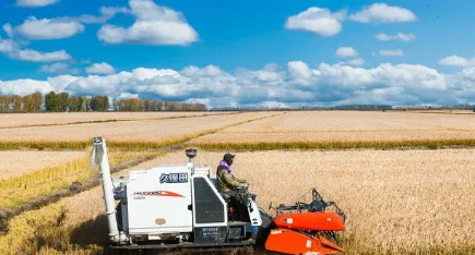 ��ũ(ũ��Ʒ����ƽ̨)