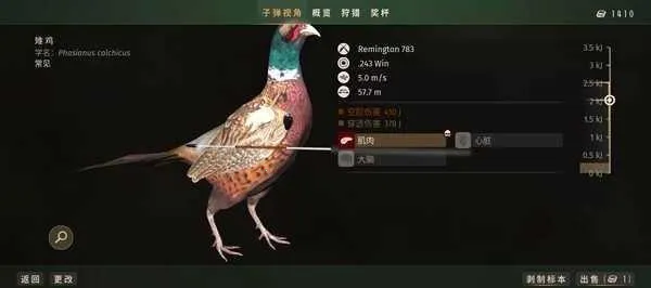 ����֮��