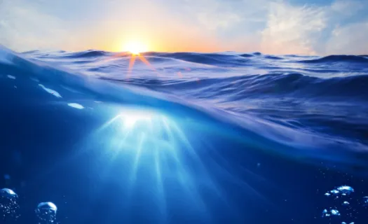 С�����ֽ2026���ذ�װ