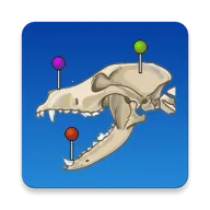 vet Anatomyv4.3.1 �ٷ�����