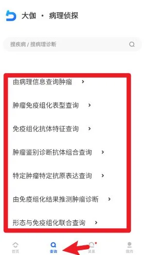 ������̽2026�ٷ�����