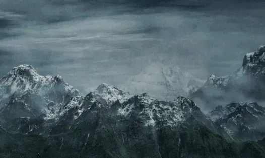 ����Ӱ��2026�ٷ�����