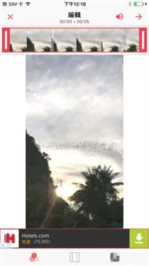 intolive��̬��ֽ����app