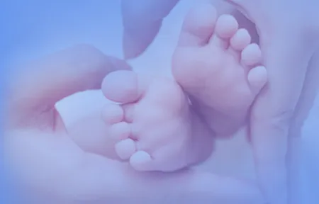 �����ǿ�ѧϰ2026����