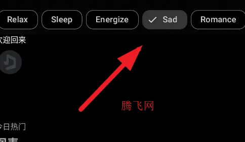 SimpMusic2026���ذ�װ