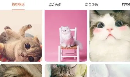 �ȳ跭����