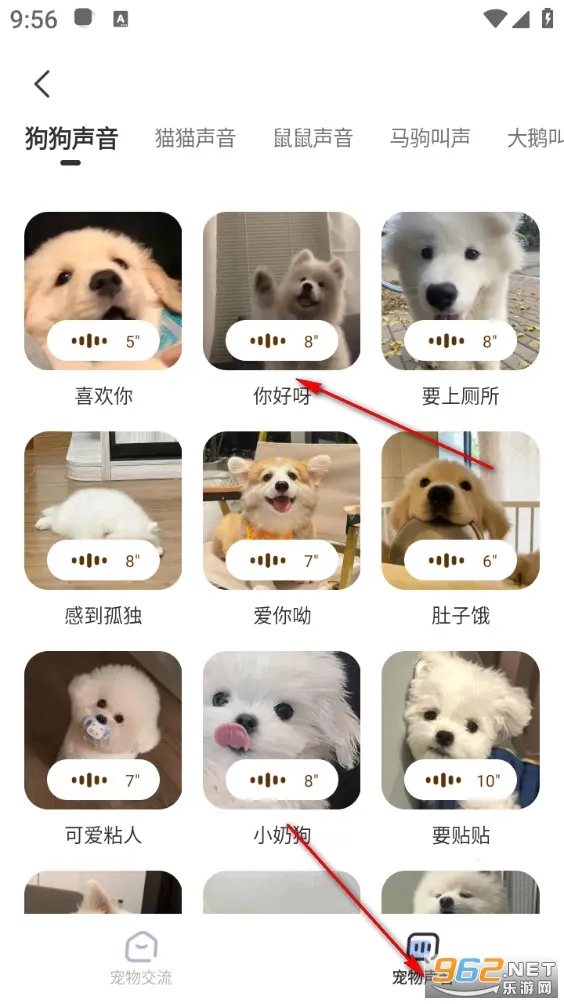 �ȳ跭����