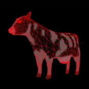 无人机保护动物模拟器安卓版手机版v1.0.0 免费版