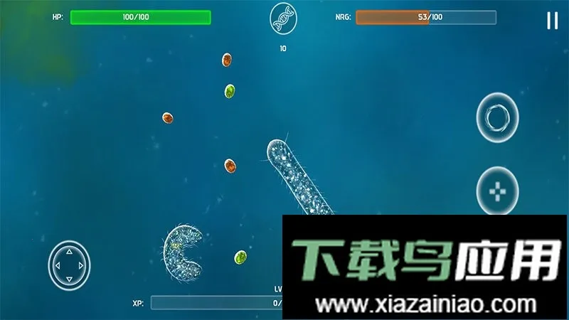 孢子的起源2026官方正版