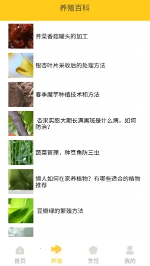 小院人家 小院人家