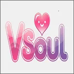 vsoulaiv4.0.4 ��׿��