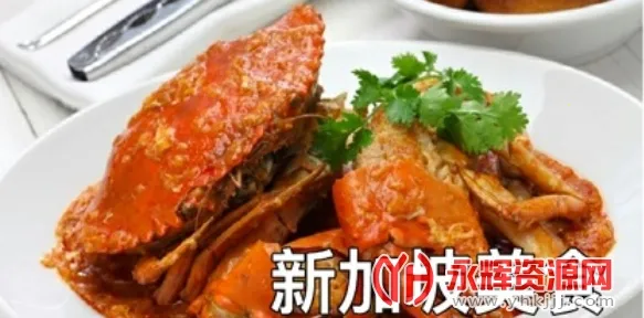 新加坡眼最新手机版 新加坡眼最新手机版