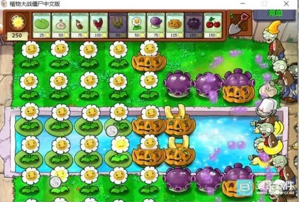 植物大战僵尸C支线2026官方最新版本