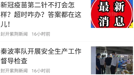 紫荆新闻2026官方正版