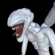 噩梦降临2026下载安装v3.5 免费版