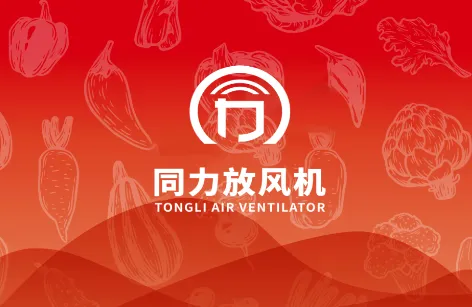 同力放风机