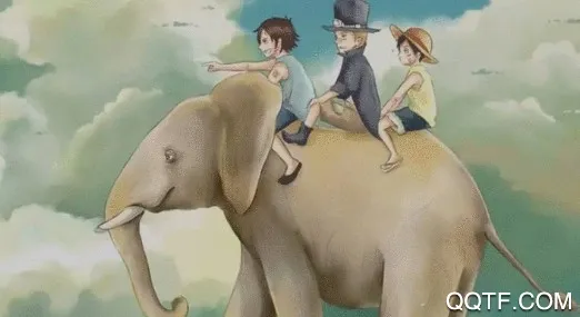 网阅小说安卓版手机版