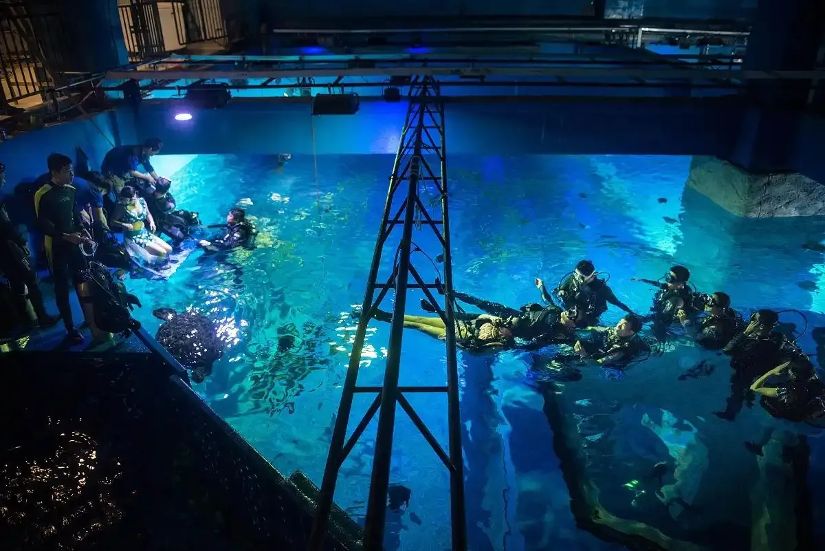 深海迷航下载手游版