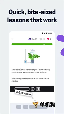 SoloLearn2026最新版本 SoloLearn2026最新版本