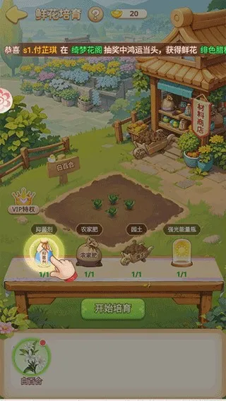 �ҵĻ�԰�����ƽ��