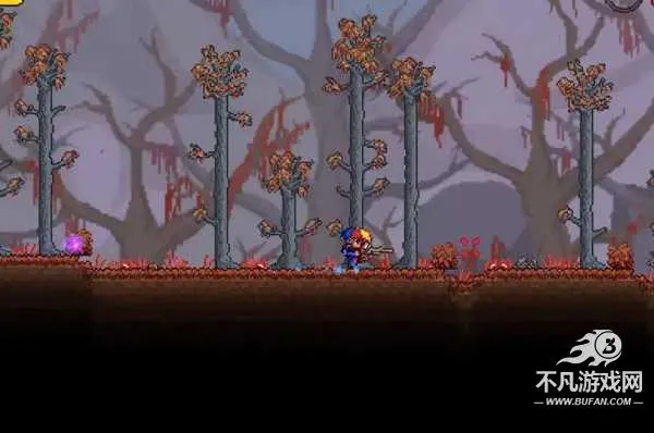 Terraria(像素冒险游戏) Terraria(像素冒险游戏)