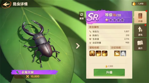 СС�Ҵ�����Ϸ