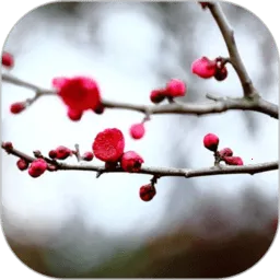 梅花易数笔记2026下载安装v1.5.4 免费版