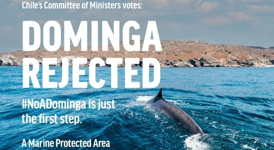 顷刻(图片分享平台) 顷刻(图片分享平台)